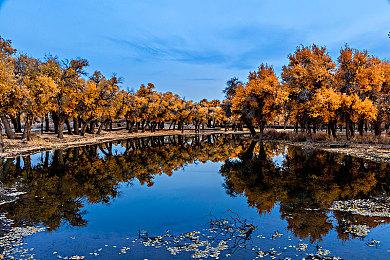《沙丘：香料战争》多人模式已推出 新视频曝光